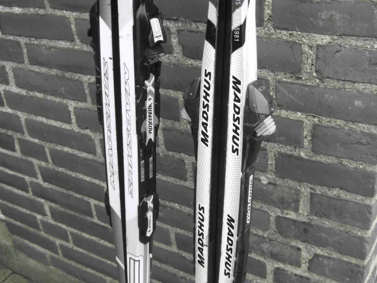 Billede 2 - Langrendsski