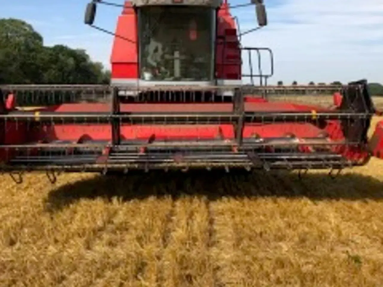 Billede 2 - Massey Ferguson 36 DV2