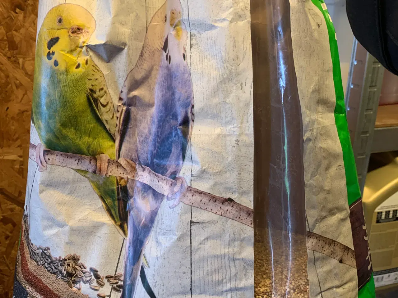 Billede 7 - 7 søde undulater