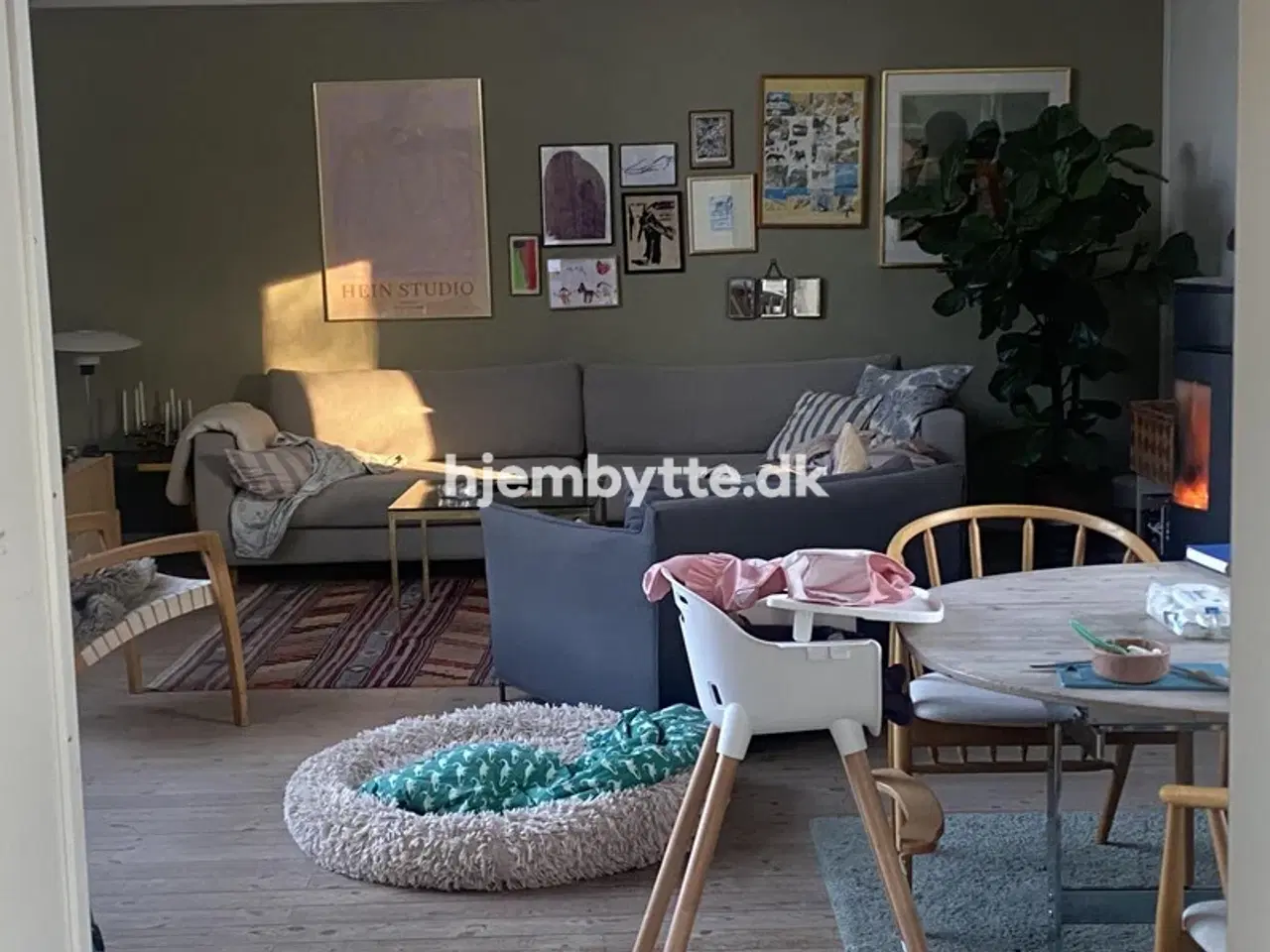 Billede 4 - Hjembytte - Æblerosestien