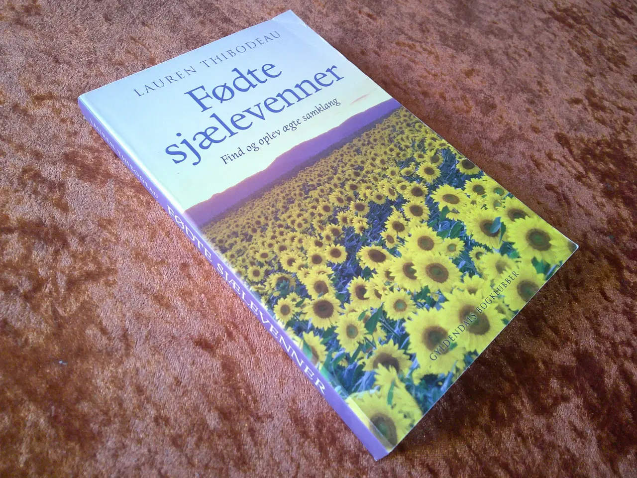 Billede 1 - Fødte sjælevenner, Lauren Thibodeau