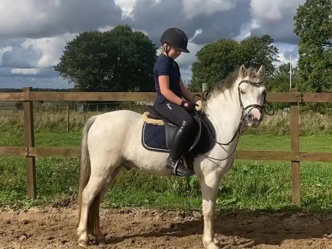 Billede 4 - Smart børnepony