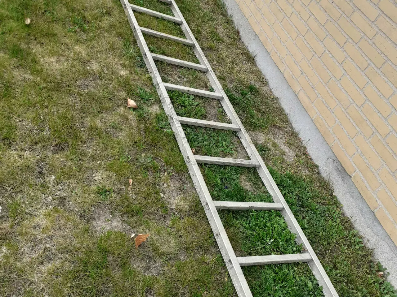 Billede 1 - Alu stige 