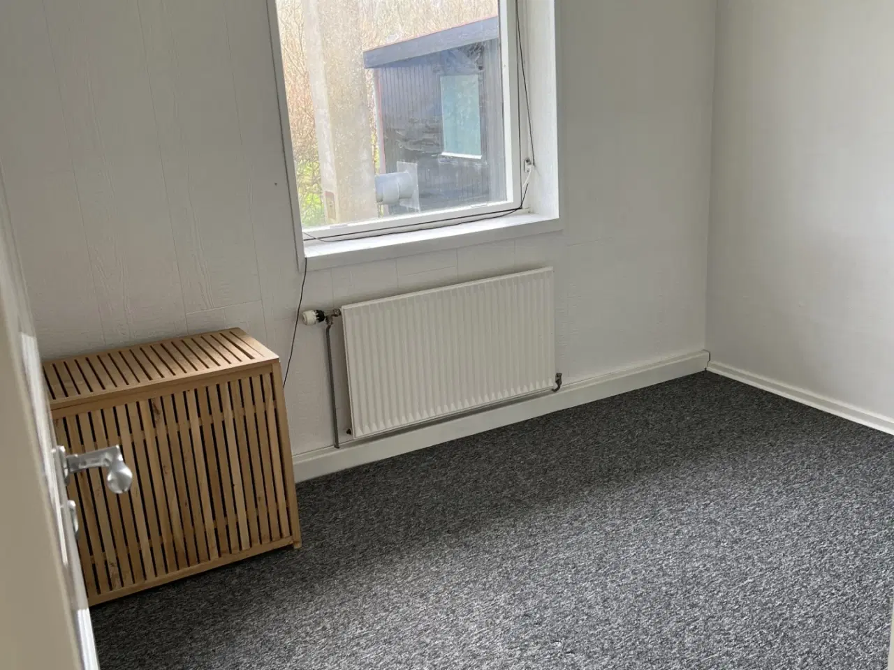 Billede 17 - Kolonihave uden bopælspligt i Fredericia.