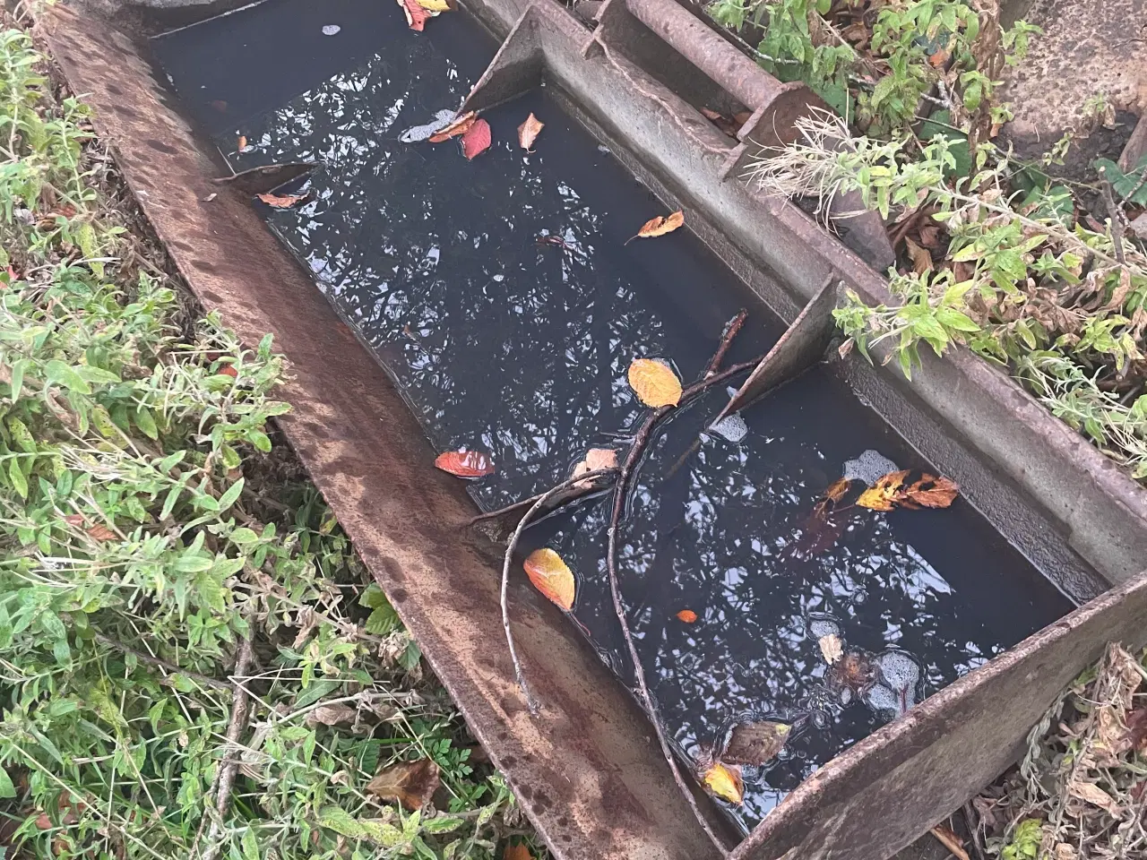 Billede 1 - Planerskovl