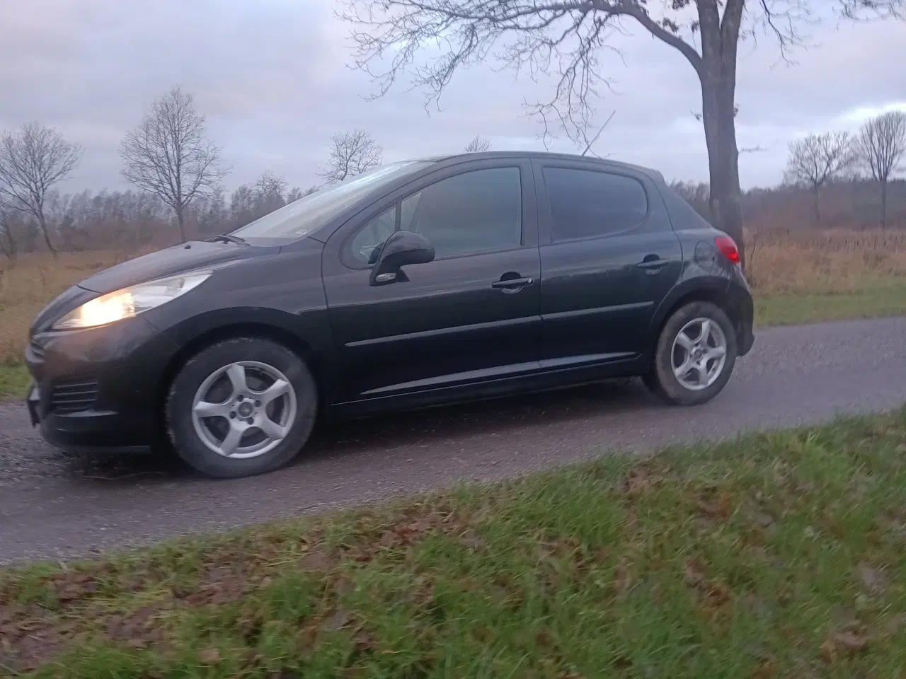 Billede 14 - Peugeot 207