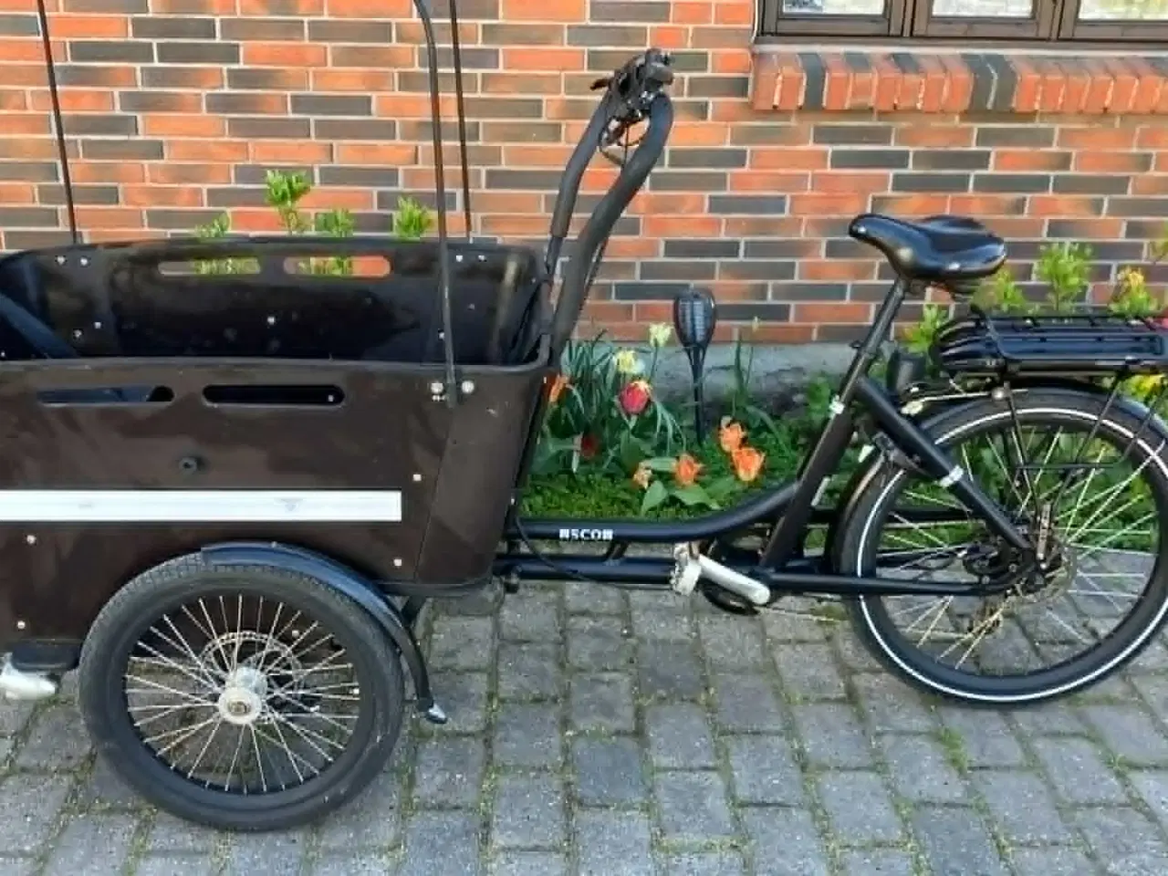 Billede 5 - SMUK EL SCO