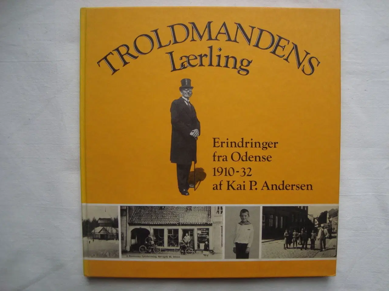 Billede 1 - Troldmandens Lærling :