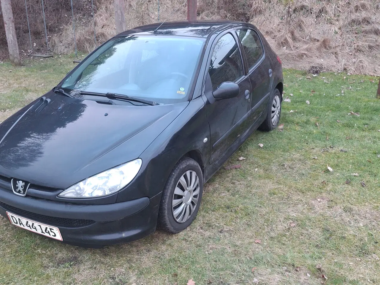 Billede 1 - Peugeot 206 hdi