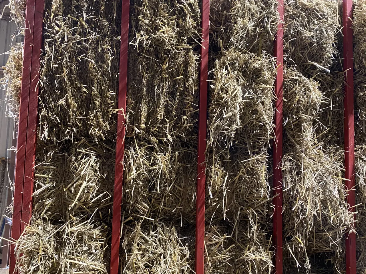Billede 2 - Fint tørt halm