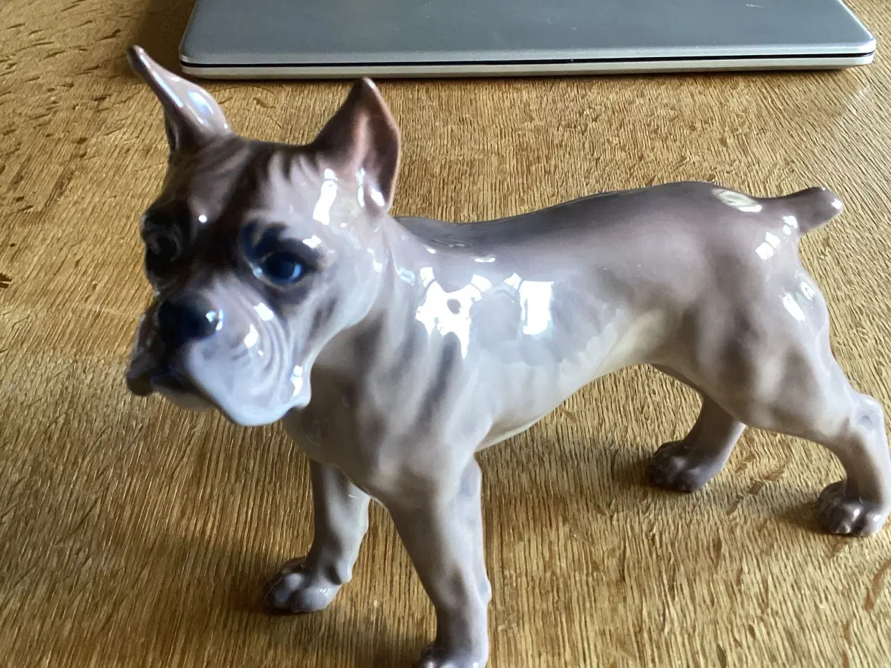 Billede 4 - DJ Bokser Hund