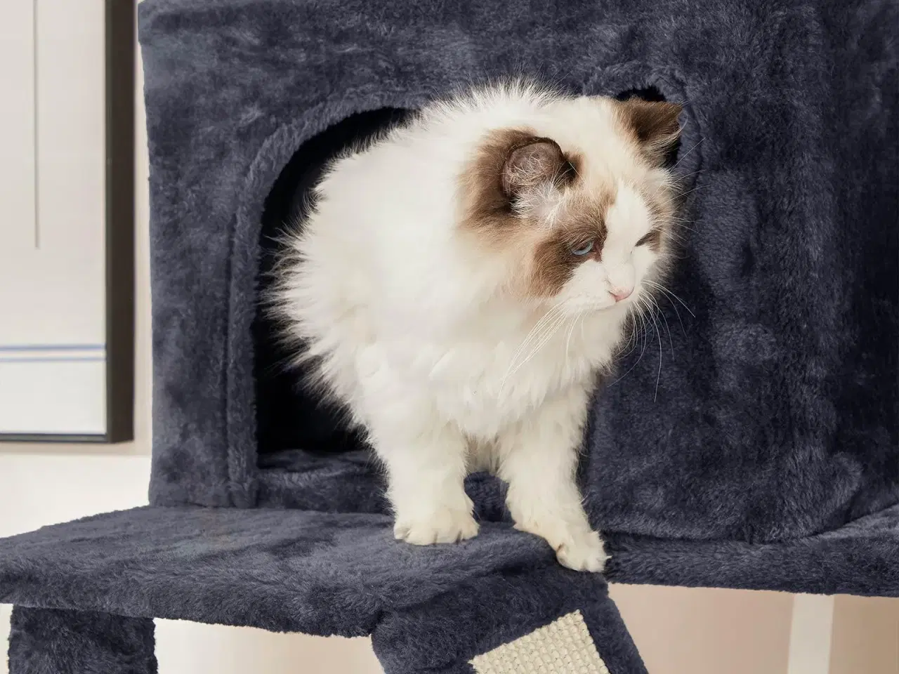 Billede 4 - Klatretræ til kat – FEANDREA 206 cm, stort kattetræ med 13 kradsepæle, rampe, 2 udsigtsplatforme, 2 huler, kurv og hængekøje – røggrå