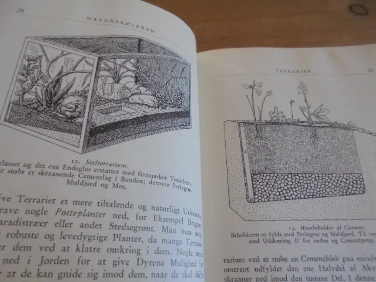 Billede 3 - Natursamleren – Hans Hvass – udg. fra 1942  