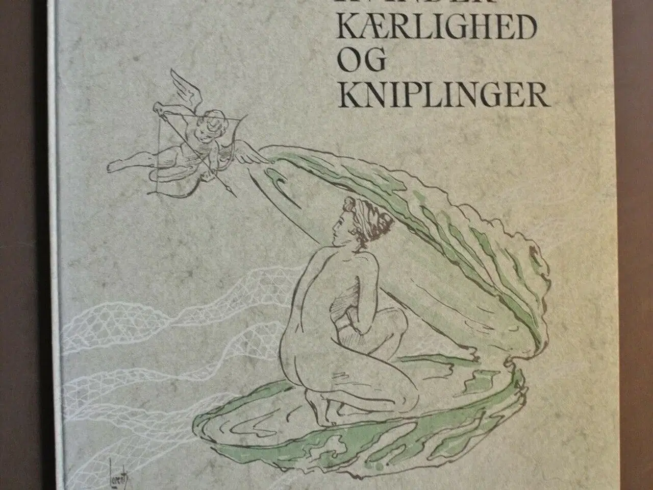 Billede 1 - kvinder kærlighed og kniplinger, af ketty i. røper
