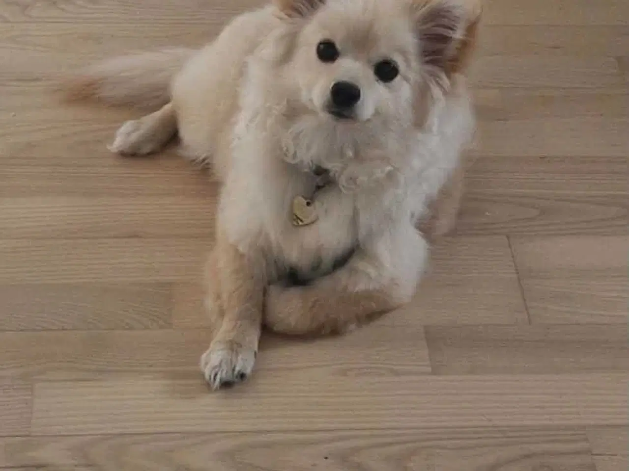 Billede 2 - Smuk krudtugle