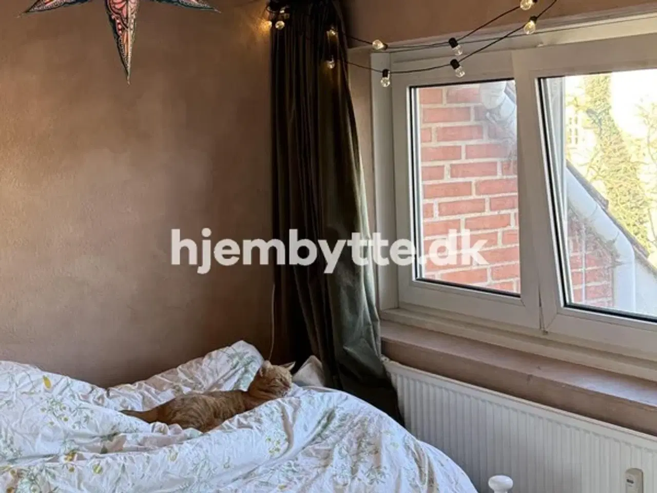 Billede 7 - Hjembytte - Saxogade