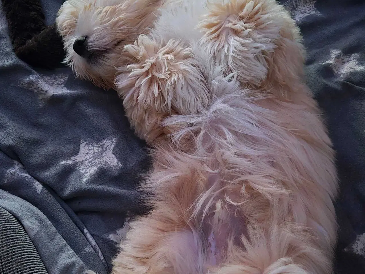 Billede 3 - Lækker dreng 