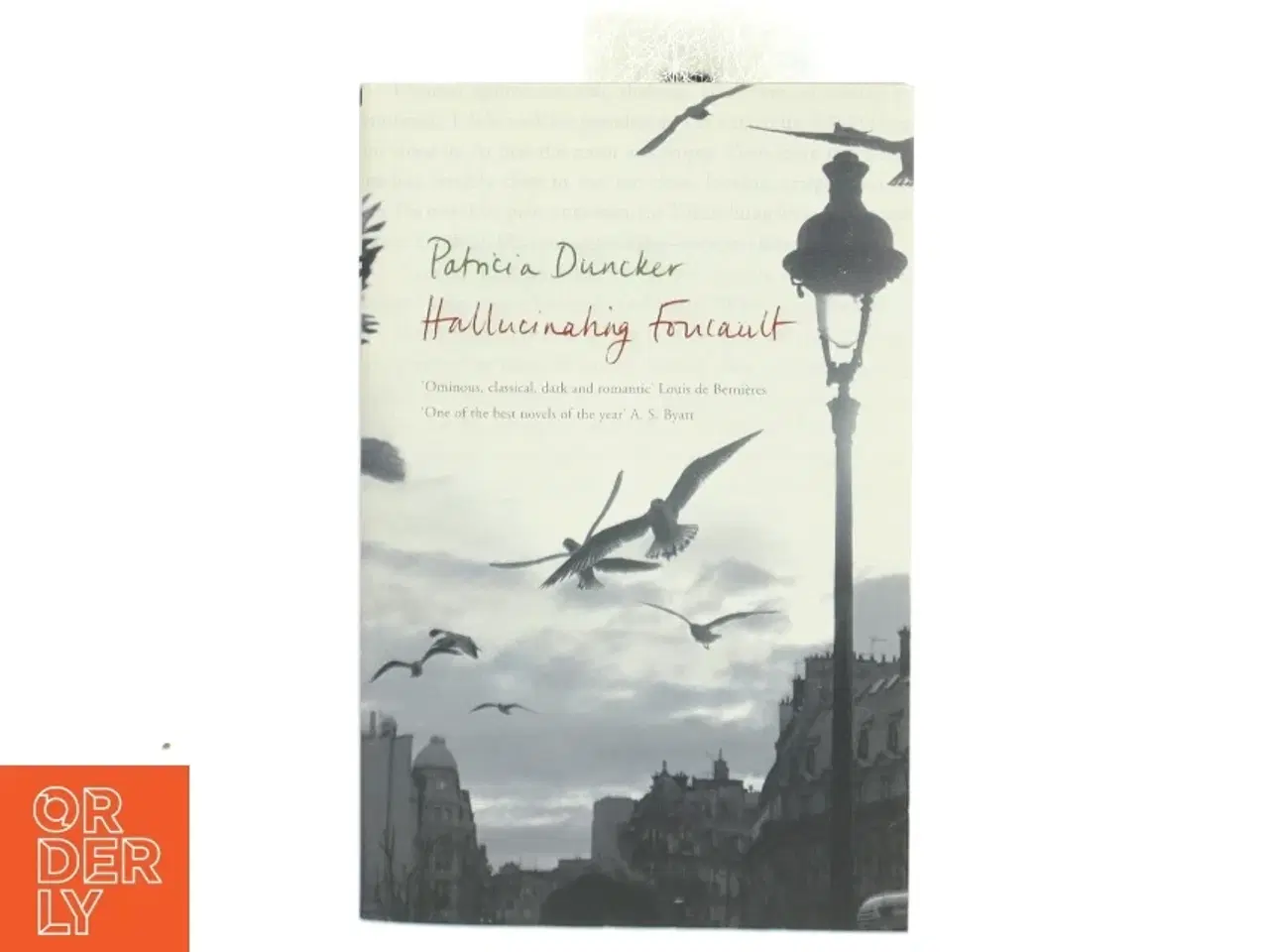 Billede 1 - Hallucinating Foucault