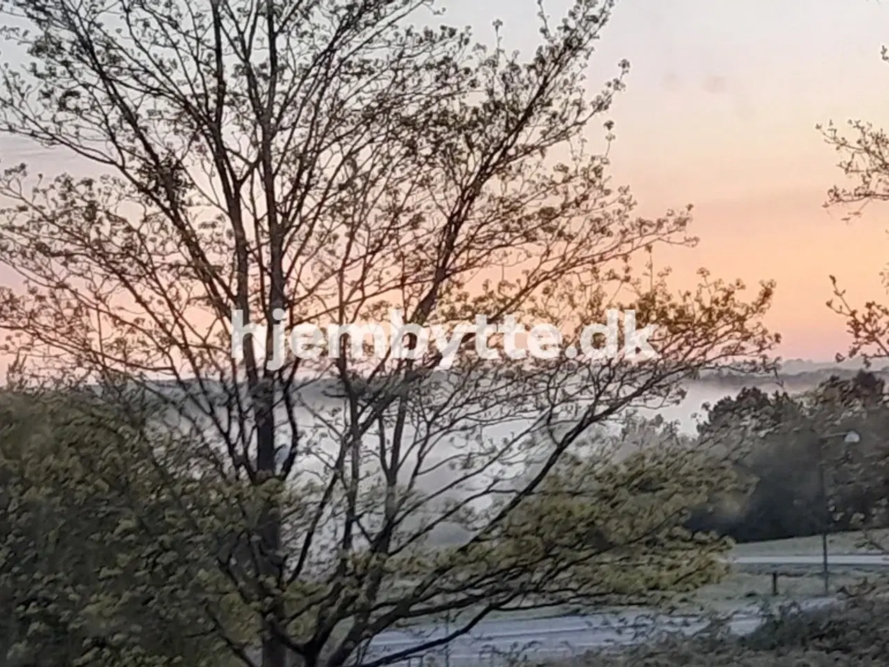 Billede 12 - Hjembytte - Sennepshaven