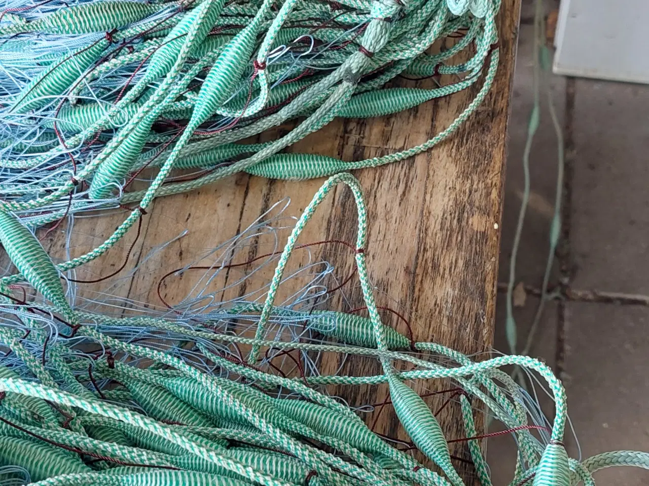 Billede 2 - Rødspætte / Skrubbegarn