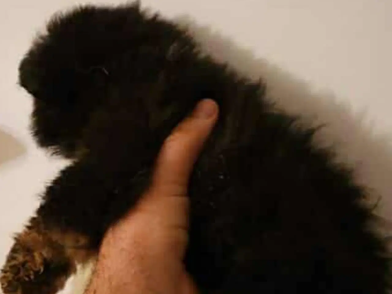 Billede 3 - Charme selvtillid og lækkert hår