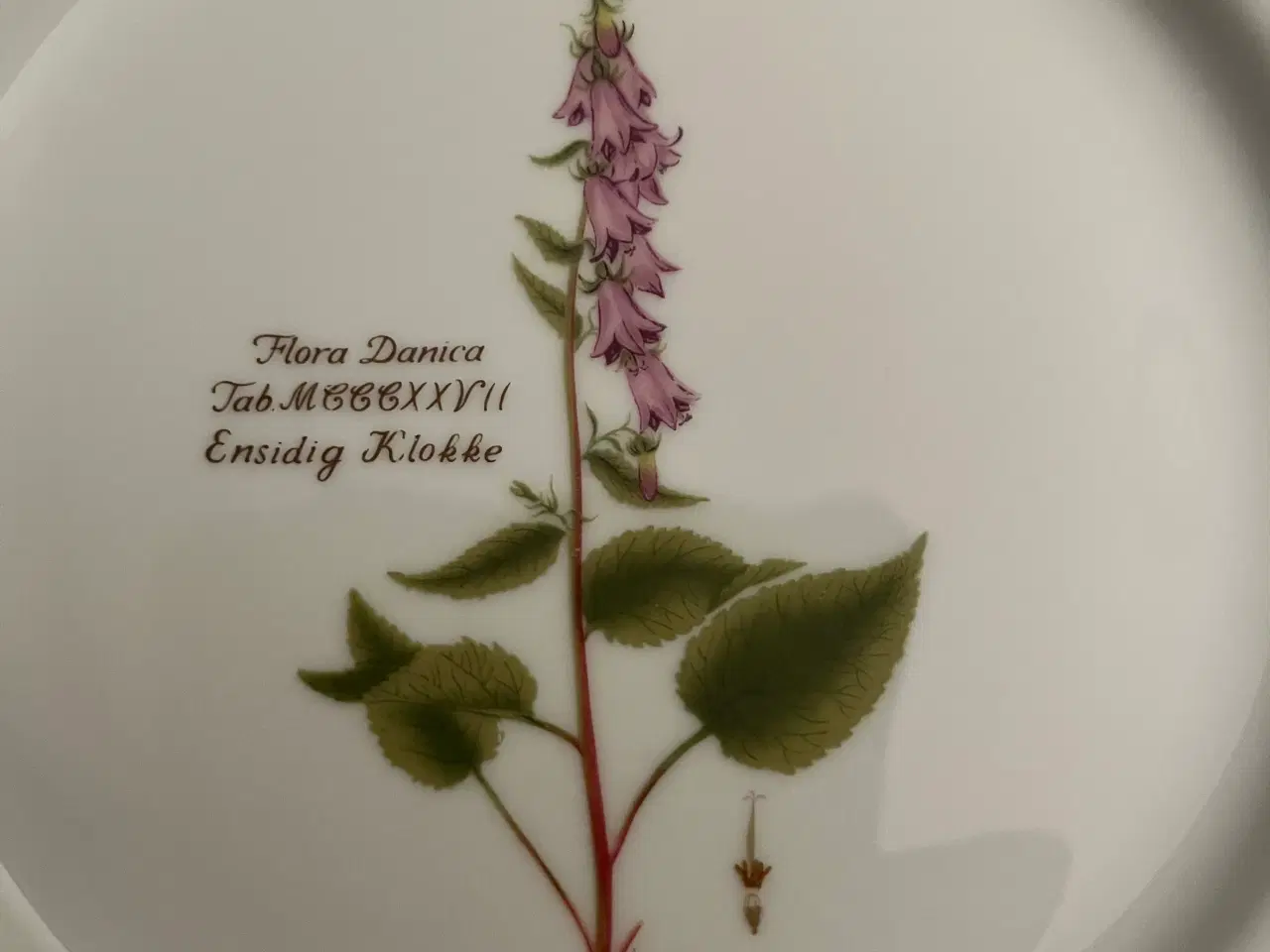 Billede 4 - Flora Danica tallerkener 