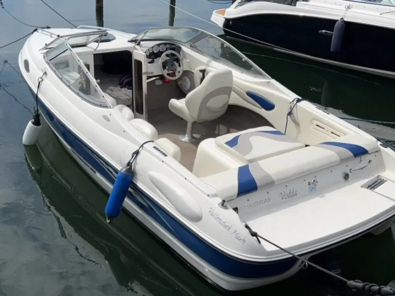 Billede 2 - Stingray 195CS med trailer