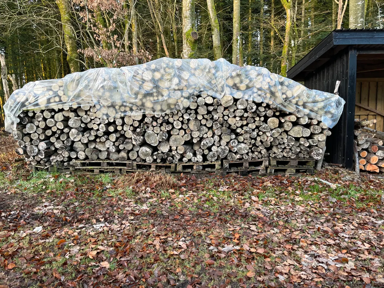 Billede 1 - brænde meterstykker