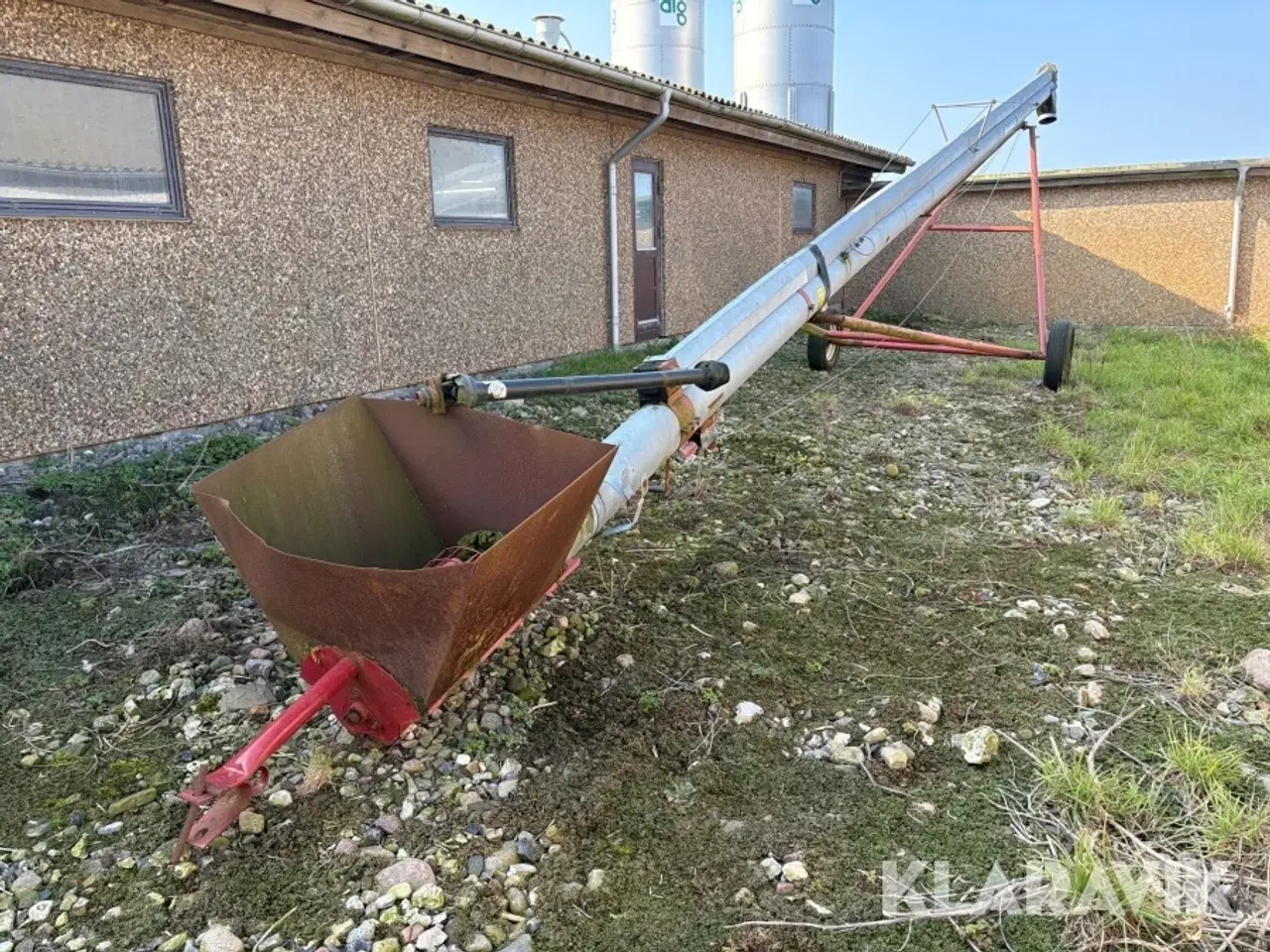 Billede 1 - Kornsnegl Hutchinson