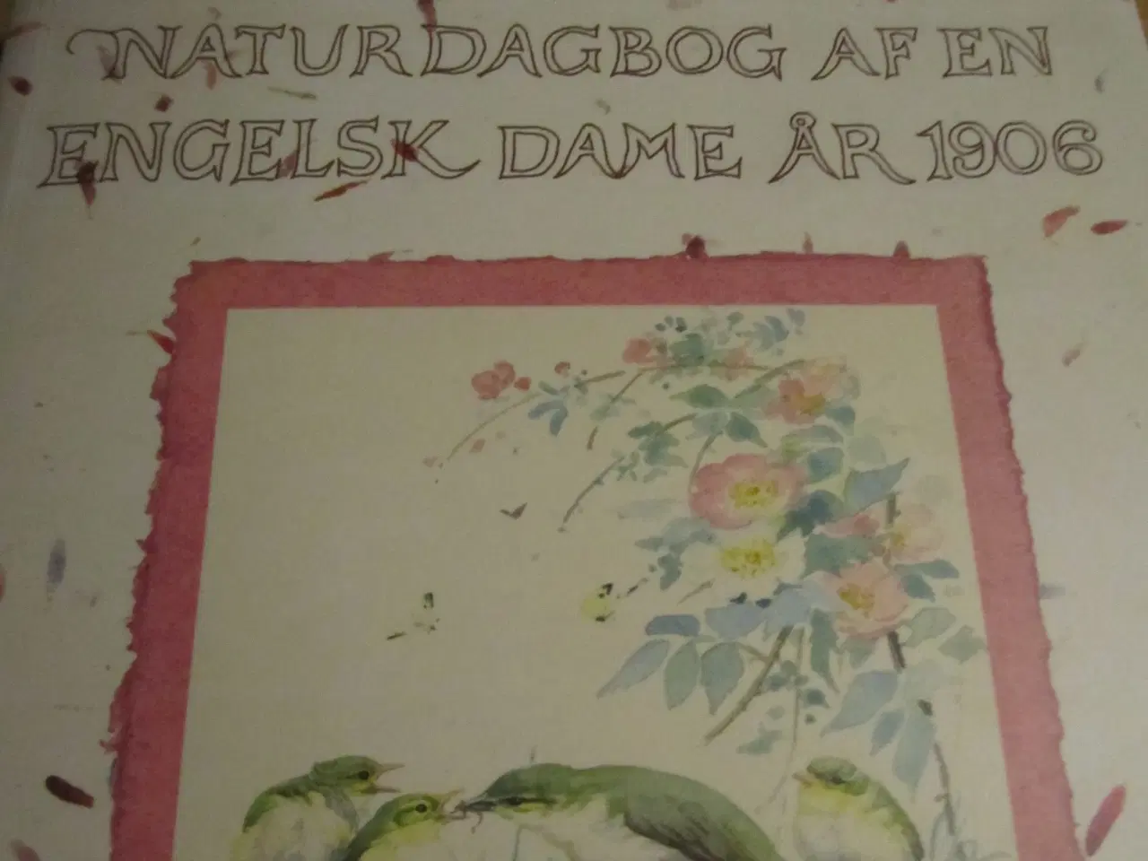 Billede 1 - NATURDAGBOG af en engelsk Dame år 1906.