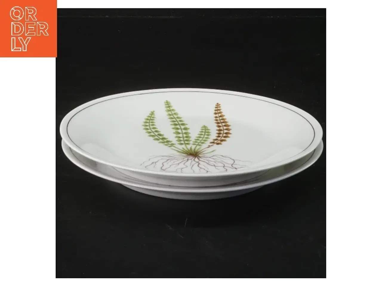 Billede 1 - Tallerkensæt med planteillustration fra Royal Copenhagen (str. Ø 17 cm)