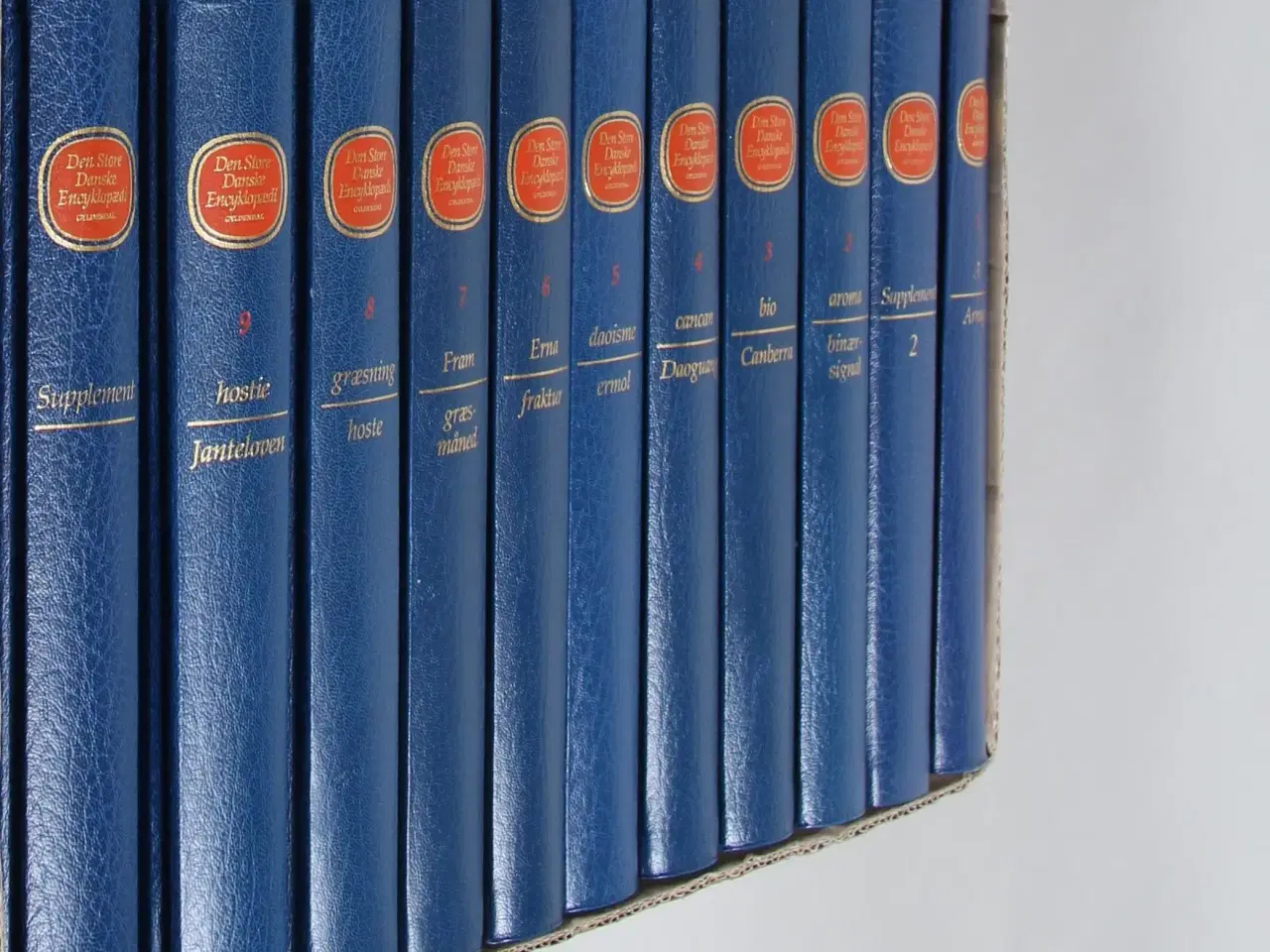 Billede 1 - Den Store Danske Encyklopædi, bind 1-20 
