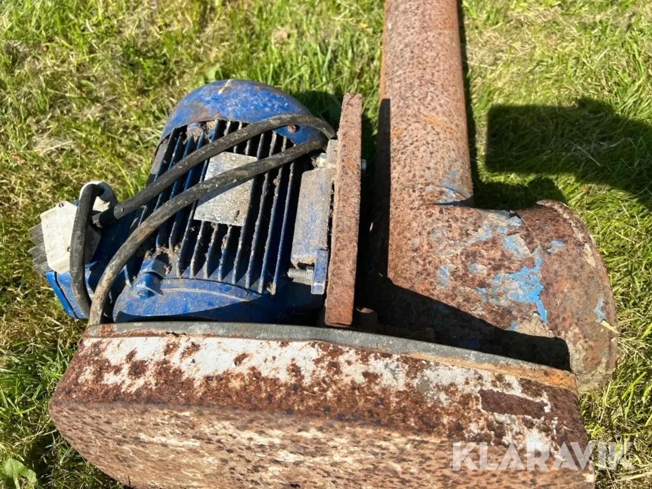Billede 6 - Kornsnegl Kongskilde