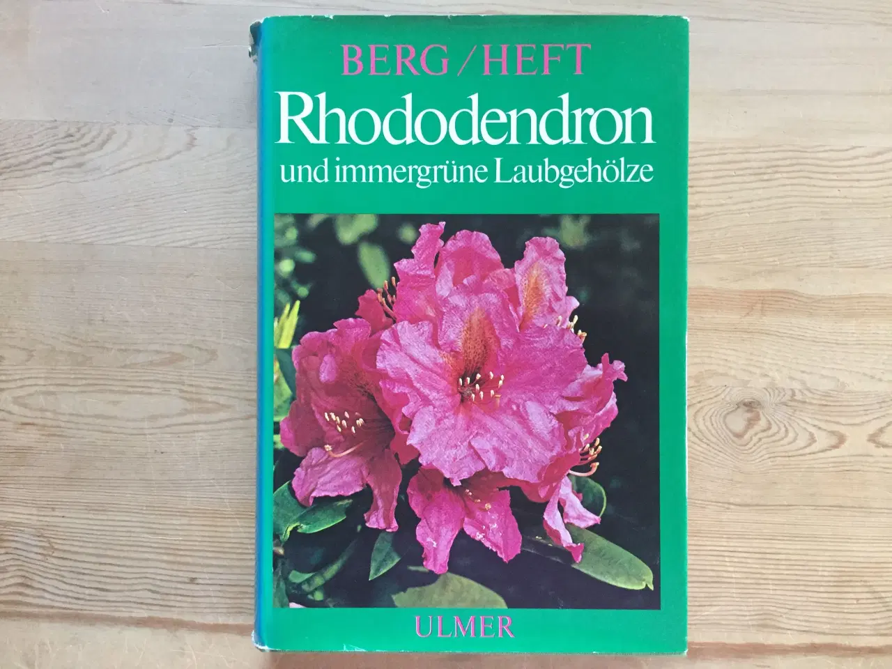 Billede 1 - Rhododendron