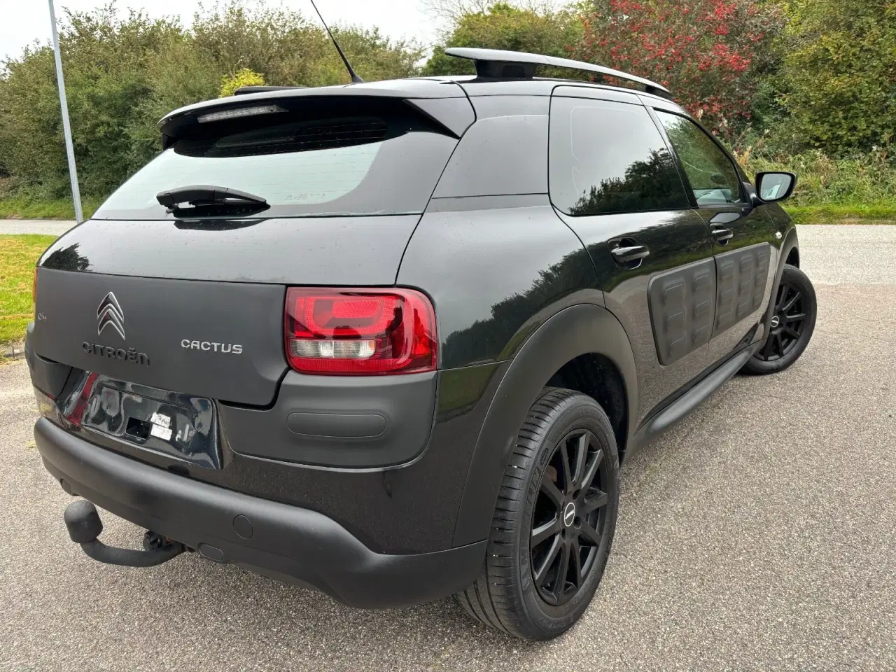 Billede 3 - Citroën C4 Cactus 1,6 BlueHDi 100 Shine ETG6 Van