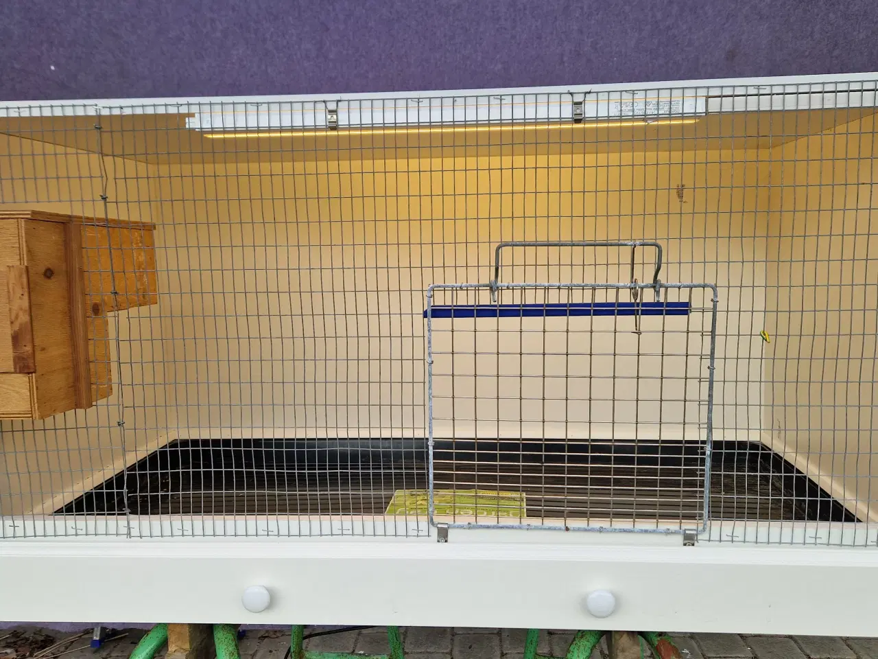 Billede 2 - Nyt ynglebur med LED lys og redekasse