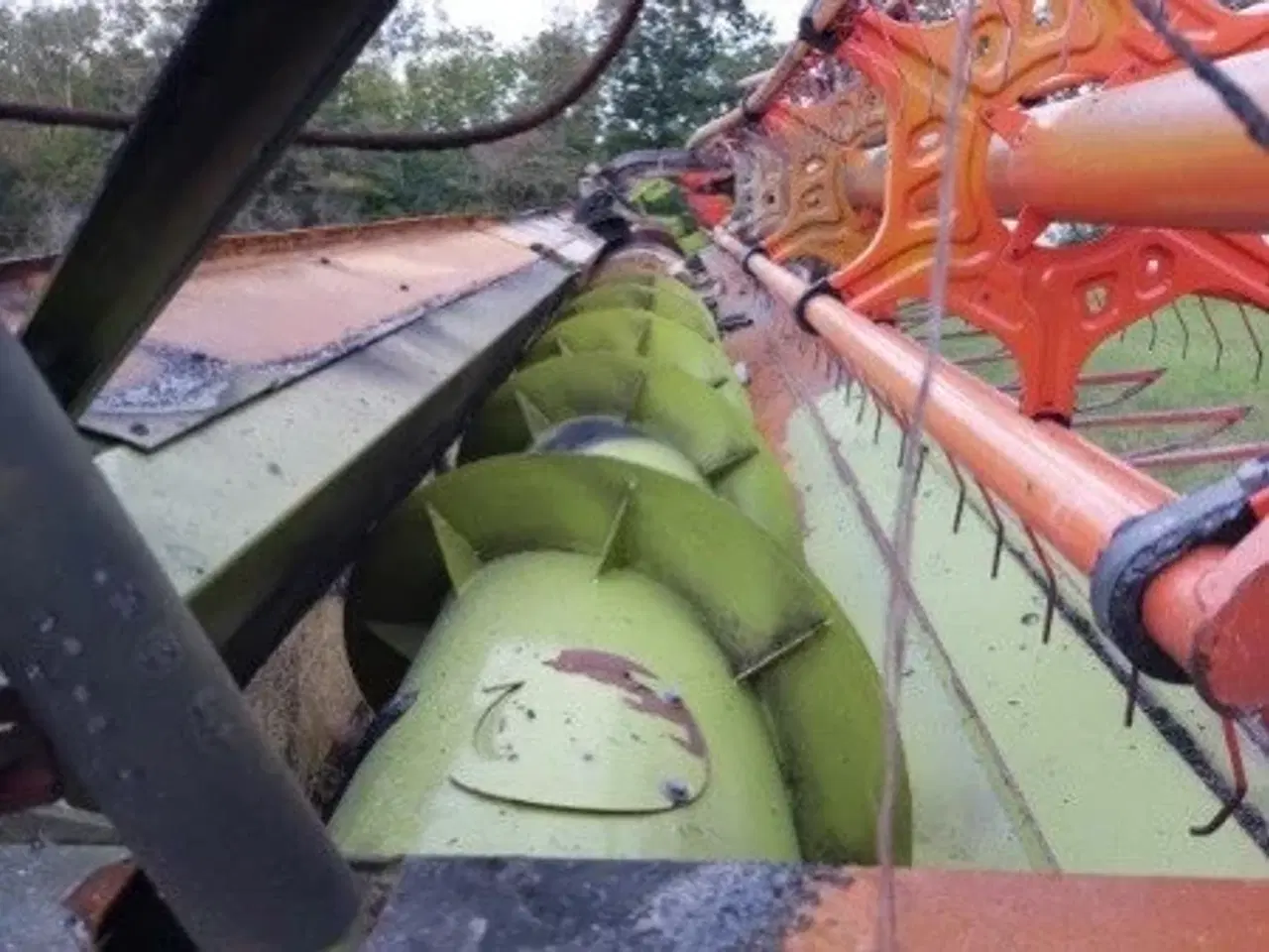 Billede 14 - Claas V1230 40" Vario Skærebord