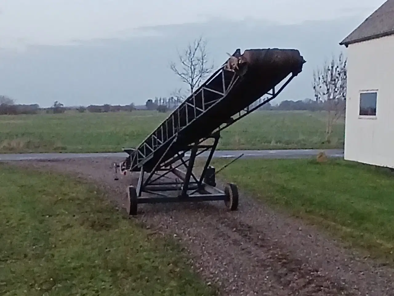 Billede 5 - Gummitransportbånd