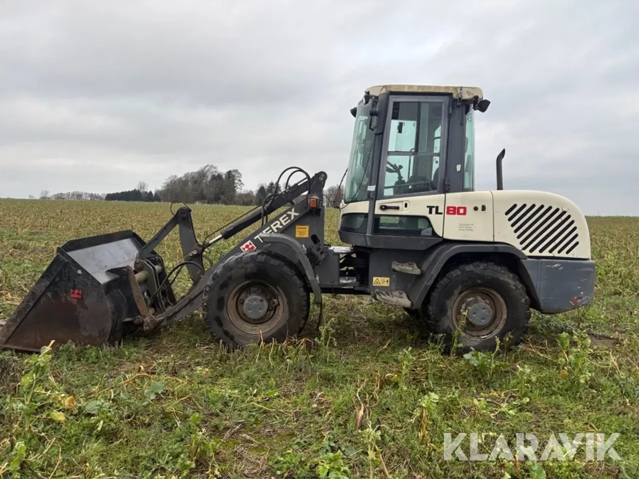 Billede 8 - Minilæsser Terex TL 80