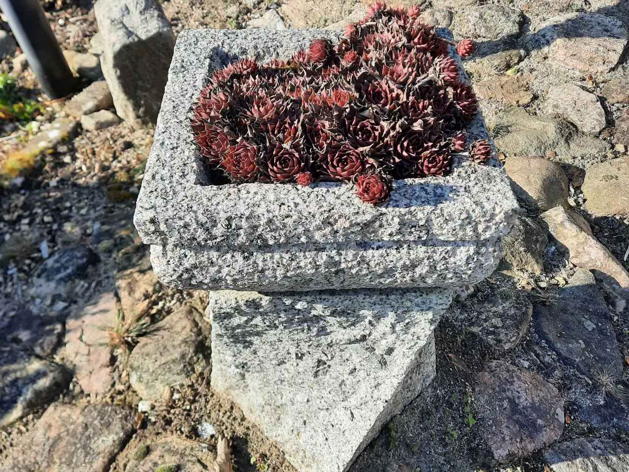 Billede 2 - Blomsteropsats i granit