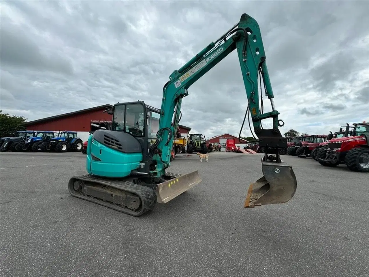 Billede 11 - Kobelco SK55 KUN 1900 TIMER OG MED SKOVLE!