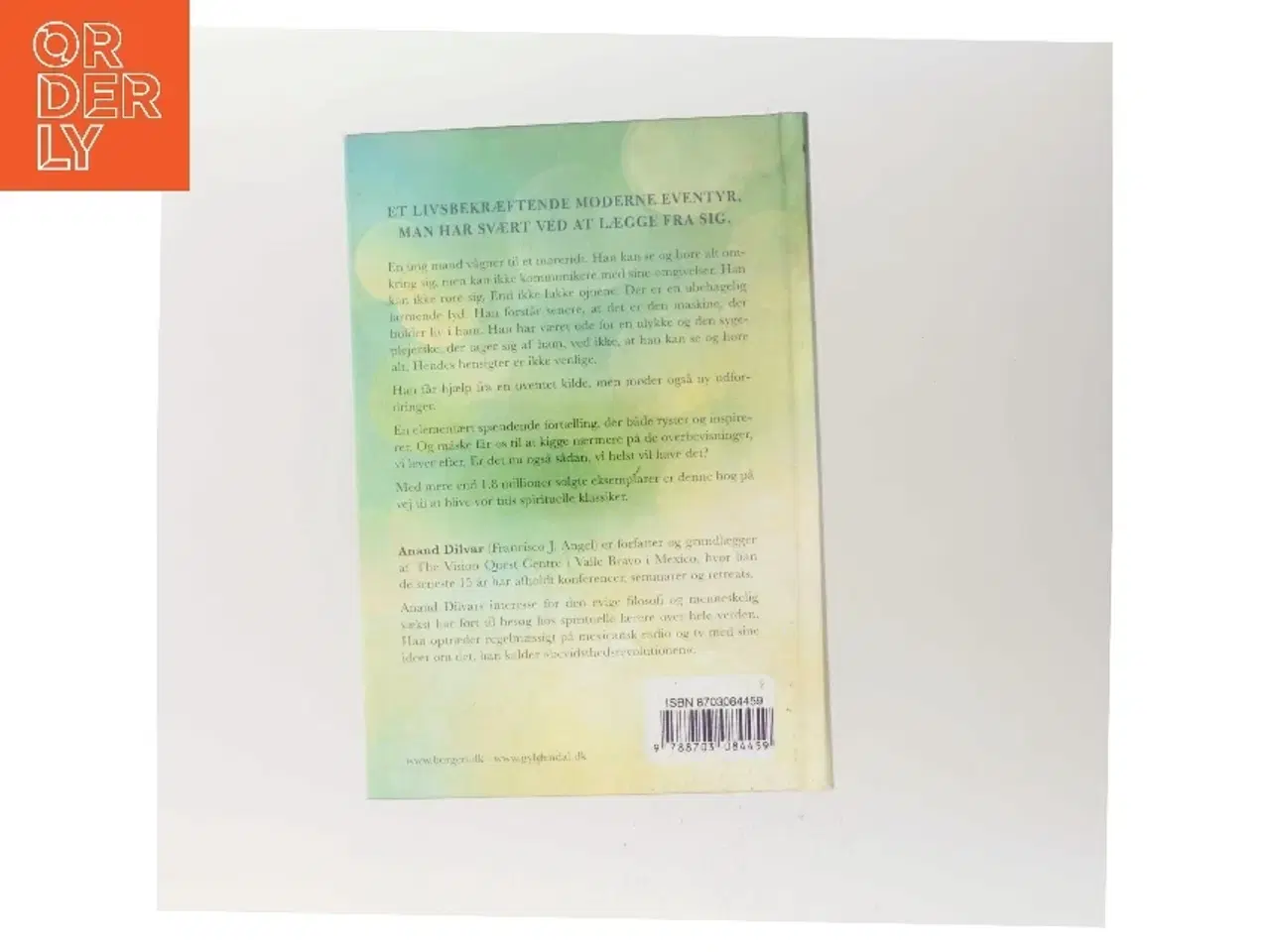 Billede 3 - Manden der så lyset af Anand Dilvar (Bog)