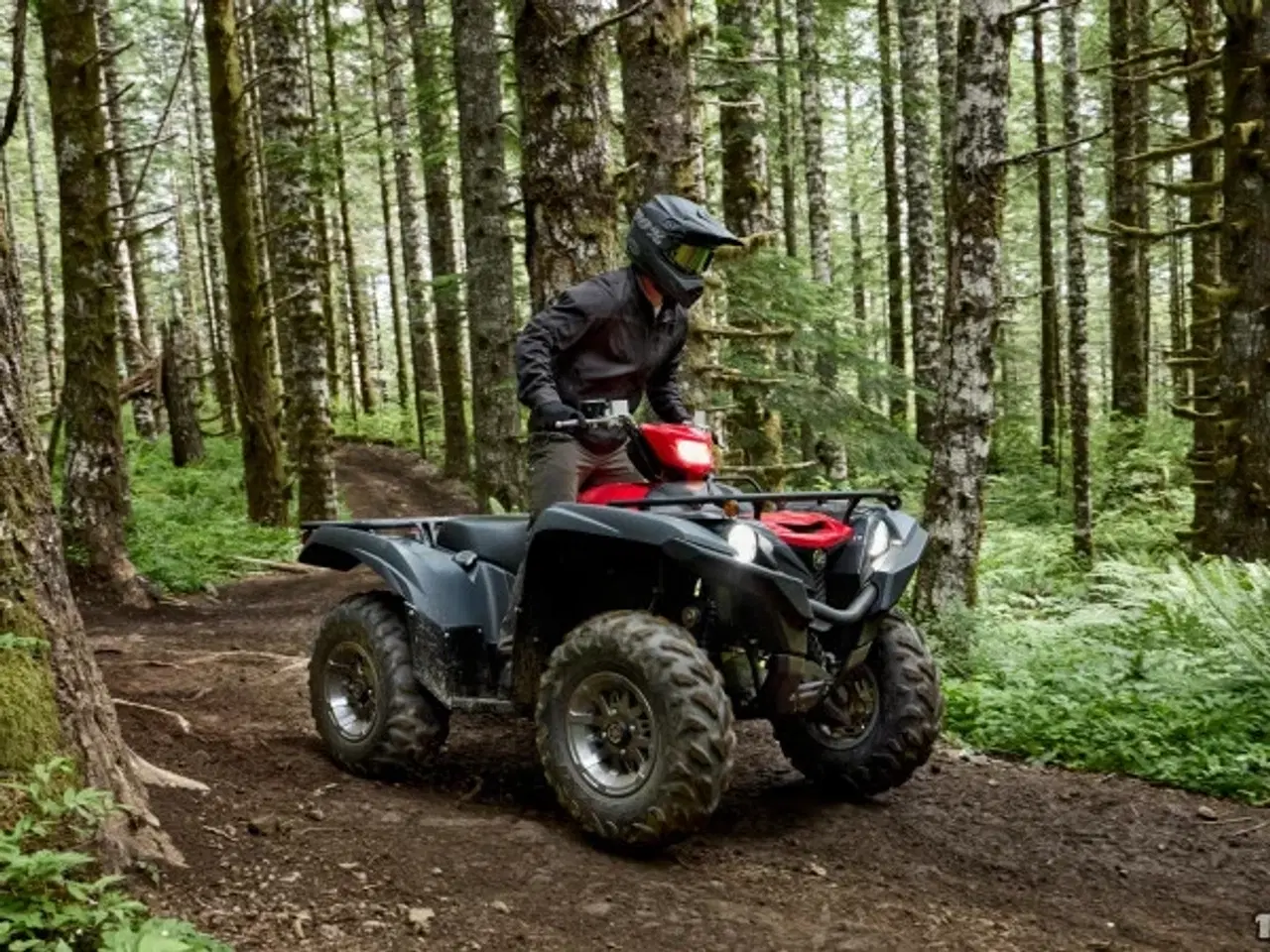 Billede 8 - Yamaha YFM 700 Grizzly EPS