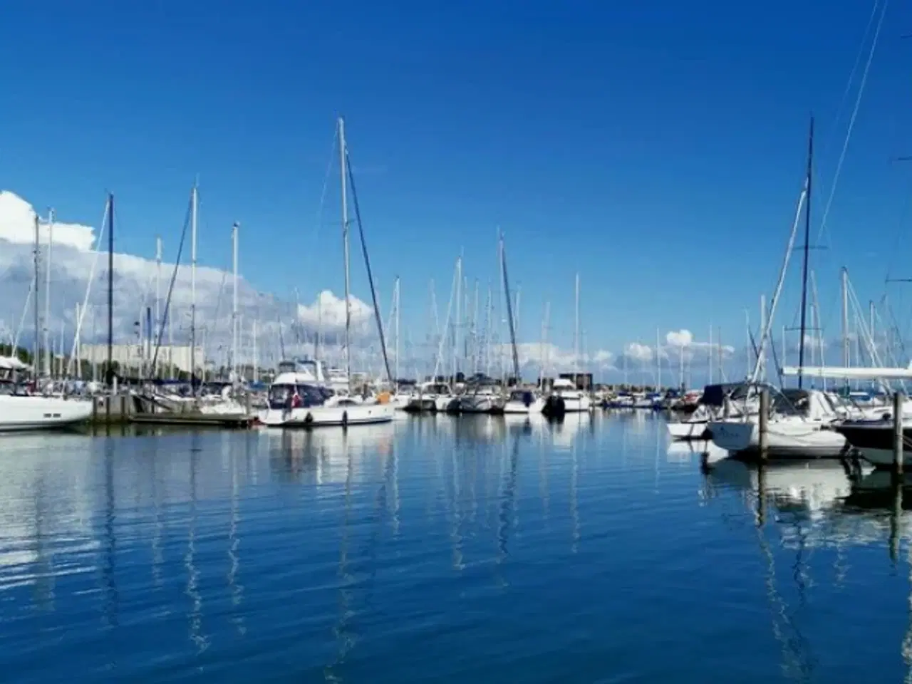Billede 2 - Bådplads i Marselisborg Havn