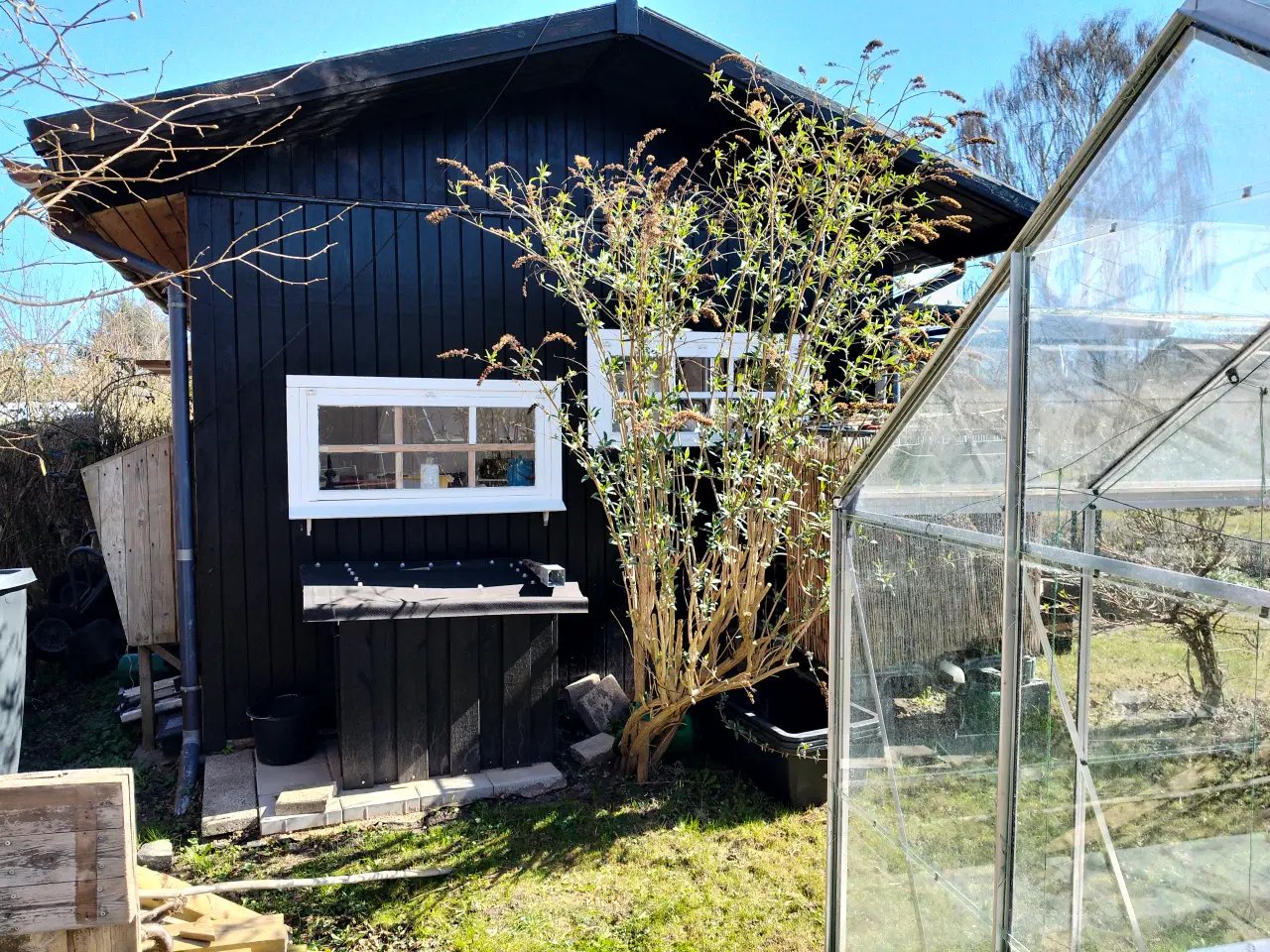 Billede 3 - Dejlig kolonihave