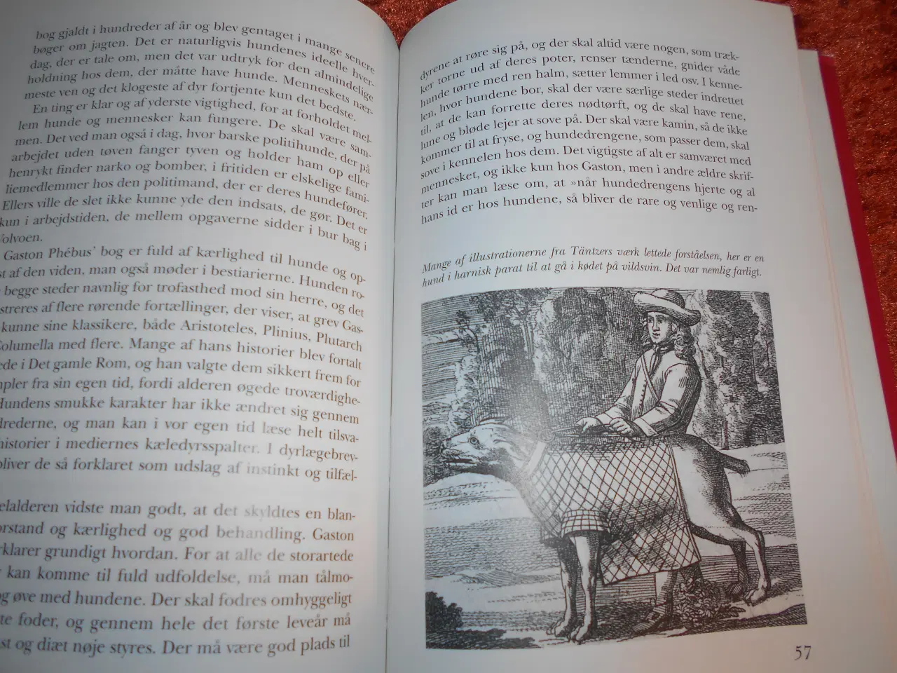 Billede 2 - Hunden i historien, Rikke Agnete Olsen