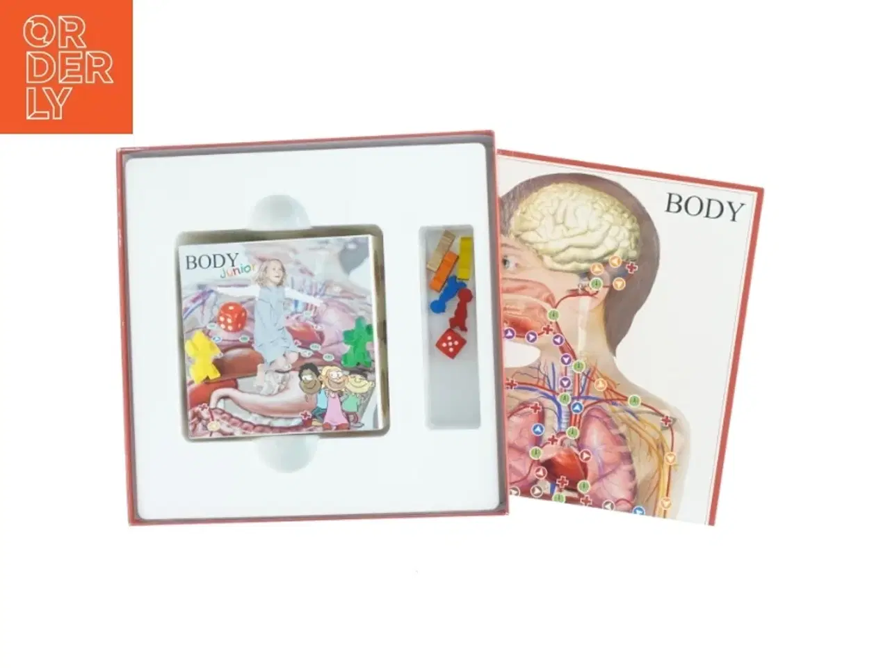 Billede 4 - Brætspil &#39;BODY junior&#39; (str. 26 x, 26 x 11 cm)