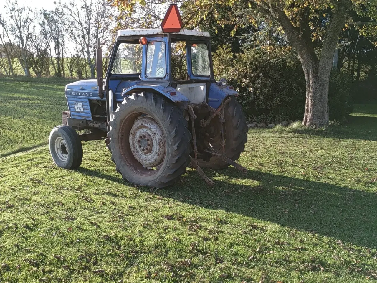 Billede 9 - Leyland 384