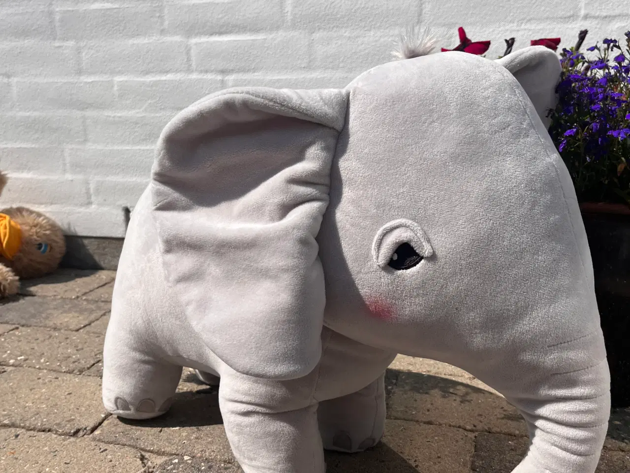 Billede 3 - mor elefant med sin unge