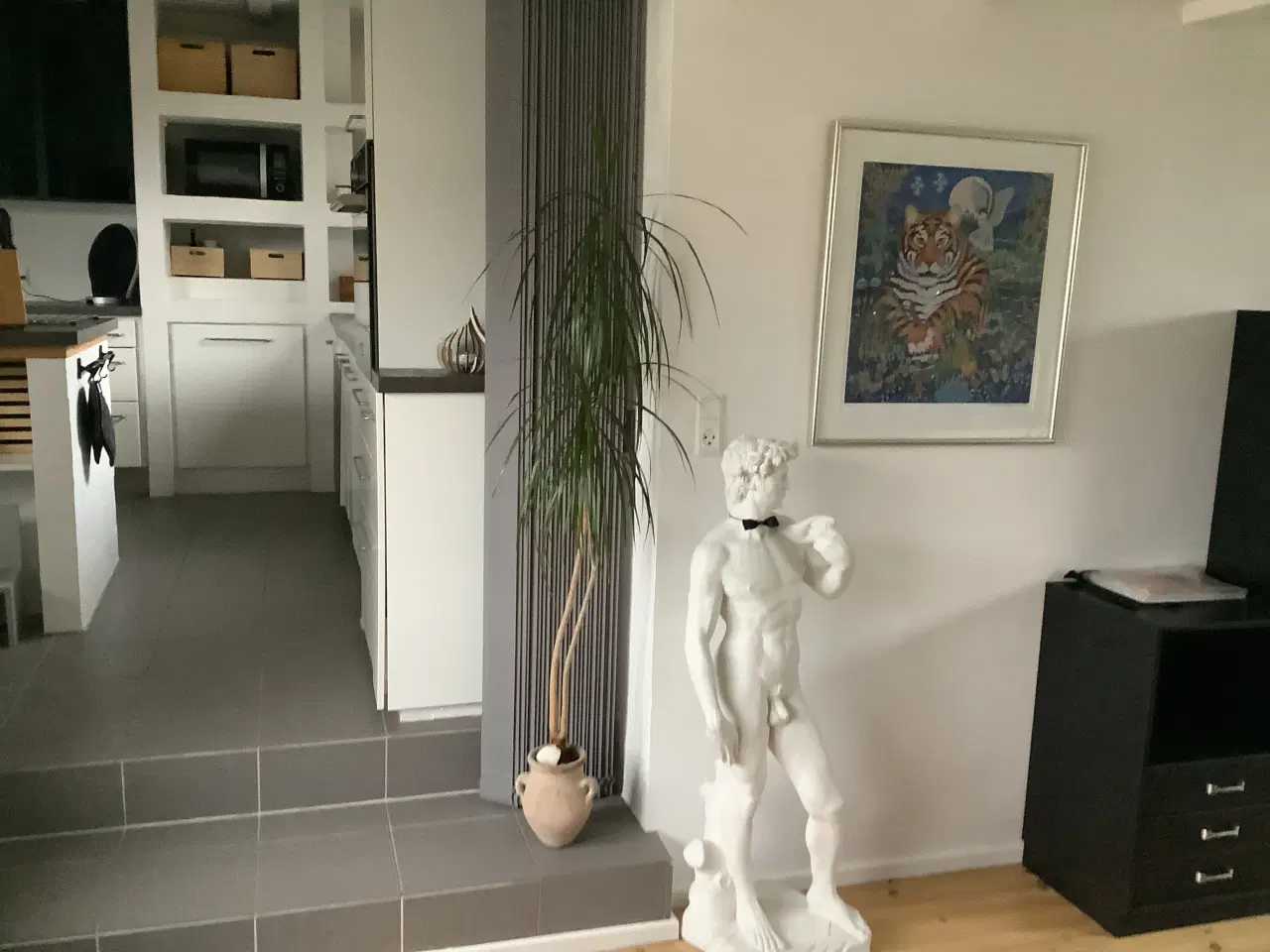 Billede 2 - 4 store planter i krukker 